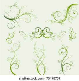 flowers collection