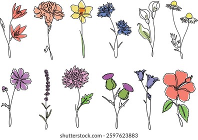 Flowers collection elegance continuous line drawing. 