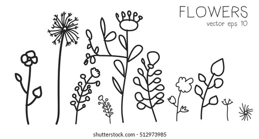 Flowers. Collection of isolated flower sketch on white background. The continuous line doodled design.