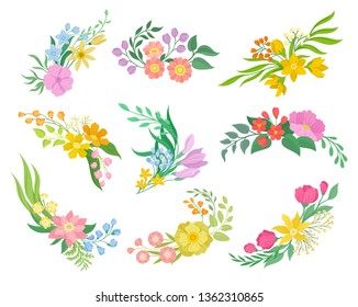 Flowers collection on white background. Spring and floral concept.