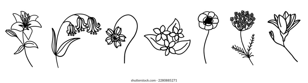 Flowers collection in outline doodle flat style. Set of simple floral element plant leaves decorative design. Hand drawn line art. For coloring. Vector illustration isolated on white background.