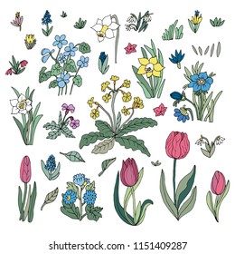 Flowers collection set. Design for greeting cards. Cute floral cartoon set. Vector illustration.