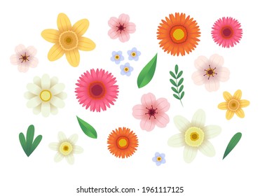 Flowers collection. Vector illustration in flat style, template for design