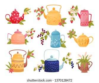Flowers in colored teapots on white background.