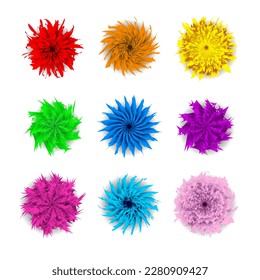 Flowers colorful vector set isolated in white background. Big set of beautiful colorful flowers. Vector illustration