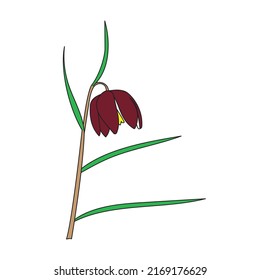 Libro de Colores de flores. Página De Colores De Flores Educativas Para Niños.