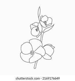 Flowers  Coloring book. Cute Educational Flowers  Coloring Page For Kids.