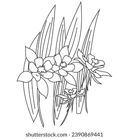 Flowers coloring book page. Coloring books page for adults or children. kids, floral arts, Flat Vector Illustration, with white background