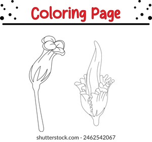  flowers coloring book page for kids