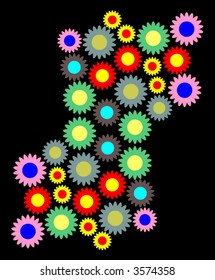 flowers and colors