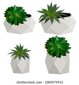 Flowers in concrete pots vector