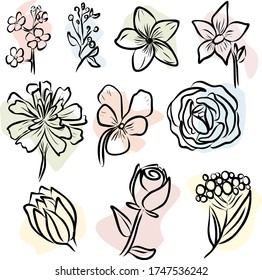 Juego de contorno de flores de diez imágenes vectoriales