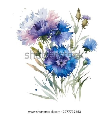 Similar – Image, Stock Photo Watercolor blue cornflower bouquet and frame, summer wedding isolated illustration elements