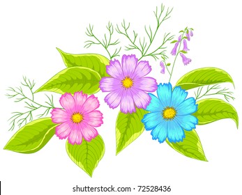 Flowers cosmos, vector, multi-coloured petals and green leaves, isolated