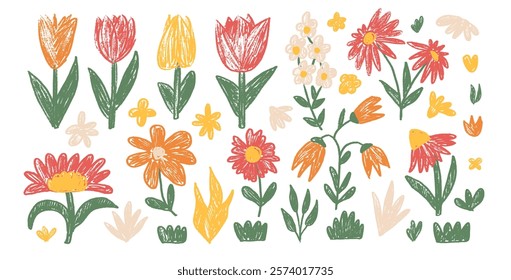 Flowers crayon drawn collection. Spring tulip, daisy, chamomile and marguerite plants doodle set. Pastel warm colors childish floral shape. Vector pencil illustration isolated on white background.