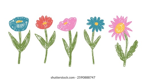 Flowers crayon drawn set. Spring poppy, aster, chamomile and marguerite plants doodle. Scrawl kids wildflowers. Vector naive pencil illustration isolated on white background.