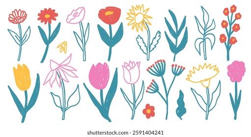 Flowers crayon drawn set. Spring tulip, daisy, aster and marguerite plants doodle set. Pastel childish floral shape. Vector pencil illustration isolated on white background.