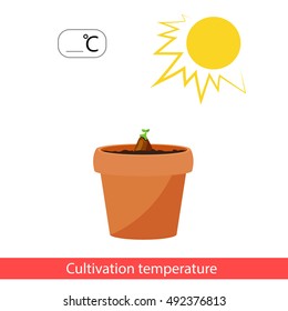 Flowers cultivation temperature icon. Vector illustration isolated on white background.