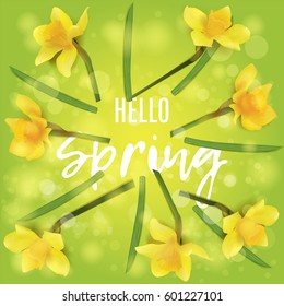 Flowers of daffodils and leaves lie in a circle, text. Hello spring. Bright yellow banner with bokeh. Vector flower.