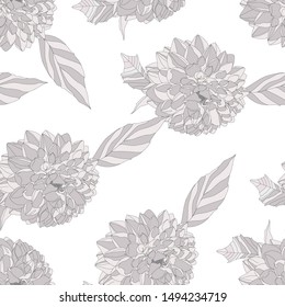 Flowers of Dahlia in gentile neutral shades on white background. Seamless vector pattern.  
