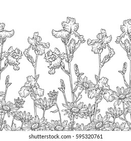 The flowers are daisies and irises. Flowering fields. Vector background fit on a horizontal line. Page for coloring