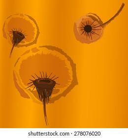 Flowers dandelions.