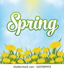 the flowers of dandelions and the words spring on the blue blurred background