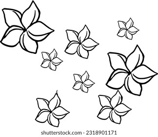 Flowers for decoration and design.