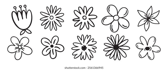 flowers decoration doodle hand drawn icon set. Outline drawing chamomile flower buds line clipart symbol collection. Vector illustration