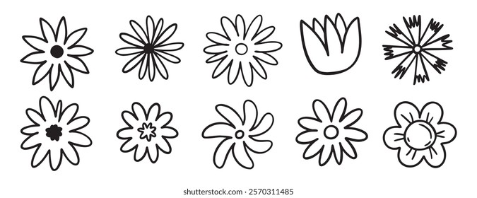 flowers decoration doodle hand drawn icon set. Outline drawing chamomile flower buds line clipart symbol collection. Vector illustration