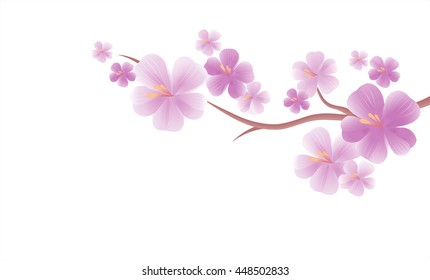 Flowers design. Flowers background. Apple tree flowers. Branch of sakura with Purple flowers isolated on White color background. Cherry blossom branch. Vector