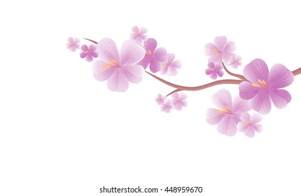 Flowers design. Flowers background. Apple tree flowers. Branch of sakura with Purple flowers isolated on White color background. Cherry blossom branch. Vector