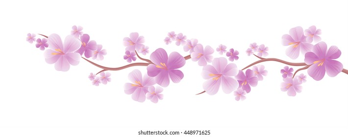 Flowers design. Flowers background. Apple tree flowers. Branch of sakura with Purple flowers isolated on White color background. Cherry blossom branch. Vector
