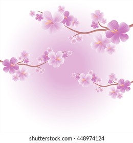 Flowers design. Flowers background. Apple tree flowers. Branches of sakura with Purple flowers isolated on Light Purple Violet color background. Cherry blossom branches. Vector