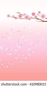 Flowers design. Flowers background. Branch of sakura with flowers. Cherry blossom branch with petals falling isolated on pink. Vector