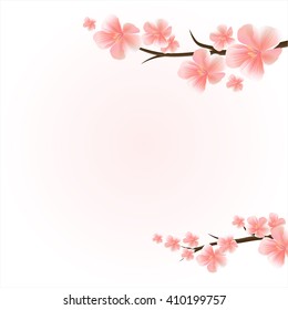 Flowers design. Flowers background. Branches of sakura with flowers. Cherry blossom branches isolated on light-pink. Vector