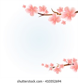 Flowers design. Flowers background. Branches of sakura with flowers. Cherry blossom branches isolated on light-blue. Vector