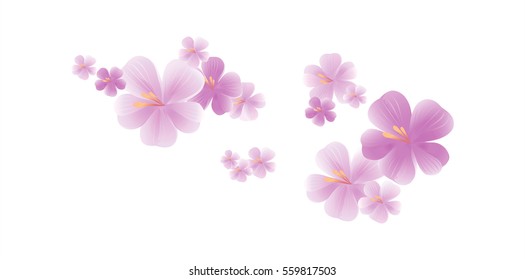Flowers design. Flowers background. Flying light purple flowers isolated on white background. Apple-tree flowers. Cherry blossom. Vector