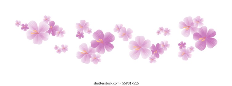 Flowers design. Flowers background. Flying light purple flowers isolated on white background. Apple-tree flowers. Cherry blossom. Vector