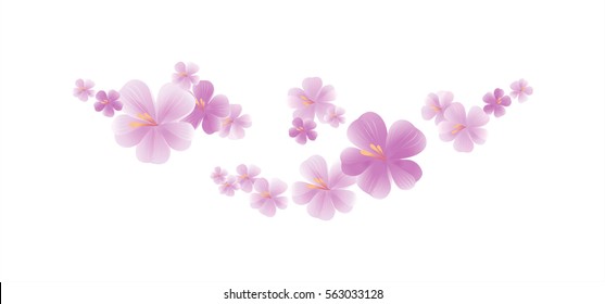 Flowers design. Flowers background. Flying light purple flowers isolated on white background. Apple-tree flowers. Cherry blossom. Vector