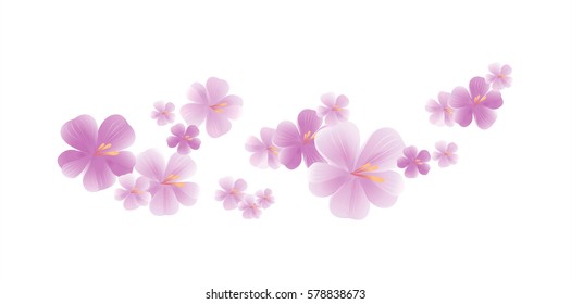 Flowers design. Flowers background. Flying light Purple flowers isolated on white background. Apple-tree flowers. Cherry blossom. Vector