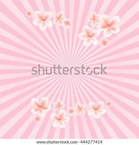 Flowers design. Flowers background. Sakura Flowers. Cherry blossom on Pink rays background. Vector