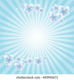 Flowers design. Flowers background. Sakura Flowers shine. Cherry blossom on Light Blue rays background. Vector