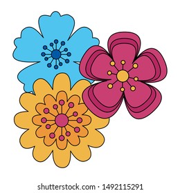 Flowers design, floral nature plant ornament garden decoration and botany theme Vector illustration