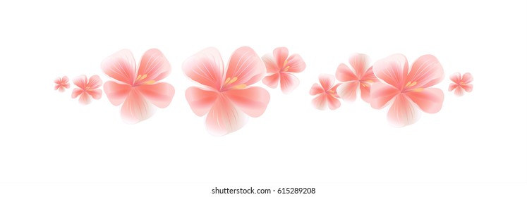 Flowers design. Flower background. Flying light Pink flowers isolated on white background. Apple-tree flowers. Cherry blossom. Vector EPS 10, cmyk