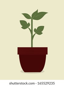 flowers design over beige background vector illustration 
