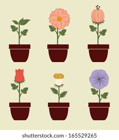 flowers design over beige background vector illustration 
