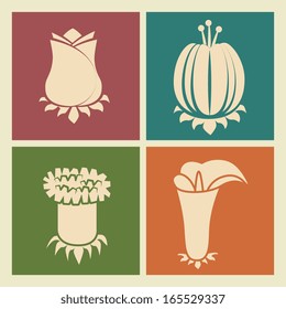 flowers design over beige background vector illustration 