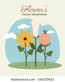 flowers design over beige  background vector illustration  