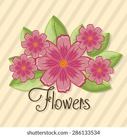 Flowers design over beige background, vector illustration.